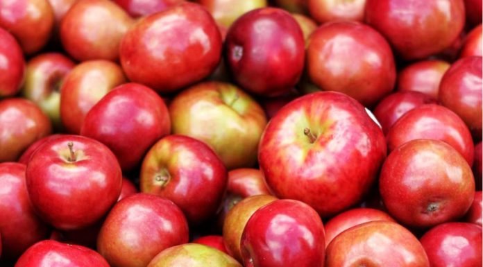 10 फल जो आप डायबिटीज में खा सकते हैं – 10 Excellent Fruits You Can Eat If You Are Diabetic in Hindi – Diabetes Fruits Apple in Diabetes in Hindi