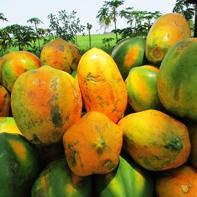 Papaya as Diabetes fruits