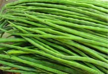 सहजन के अचंभित करने वाले 17 फायदे – The Unbelievable Drumstick Benefits (Moringa Benefits) in Hindi Drumstick Benefits Hindi