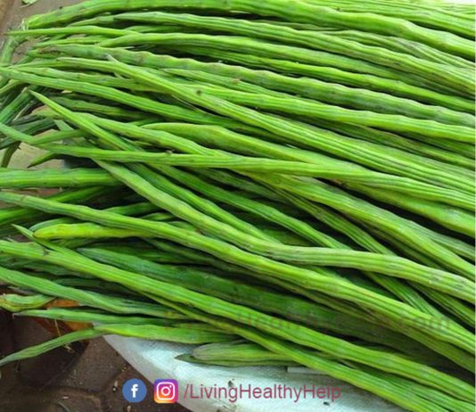 सहजन के अचंभित करने वाले 17 फायदे – The Unbelievable Drumstick Benefits (Moringa Benefits) in Hindi Drumstick Benefits Hindi