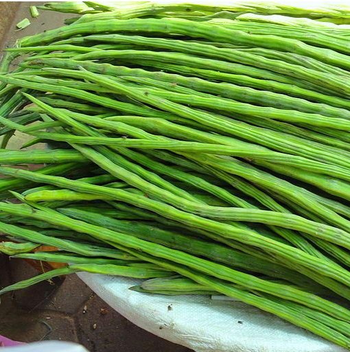 Drumstick Benefits in Hindi