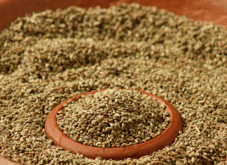जानिये अजवाइन के अनोखे फायदे और नुकसान – Amazing Health Benefits of Carom Seeds – Ajwain ke Fayde Benefits of Carom Seeds