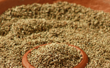 जानिये अजवाइन के अनोखे फायदे और नुकसान – Amazing Health Benefits of Carom Seeds – Ajwain ke Fayde Benefits of Carom Seeds