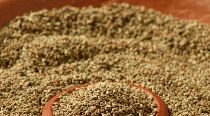 जानिये अजवाइन के अनोखे फायदे और नुकसान – Amazing Health Benefits of Carom Seeds – Ajwain ke Fayde Benefits of Carom Seeds
